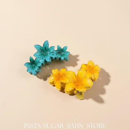 مشبك شعر| Hair Clip