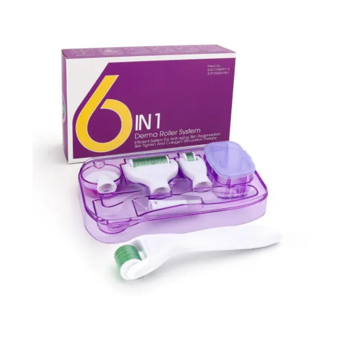 الددرما رولر 6 في 1 لتحفيز نمو الشعر | Derma Roller Hair Growth Kit